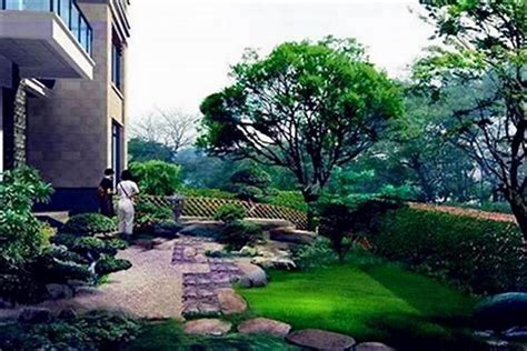 风水树有哪些_常见宅院风水树有哪些,第13张 风水树有哪些_常见宅院风水树有哪些,第13张